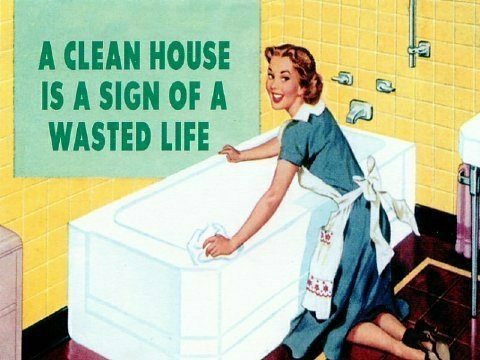 clean_house_wasted_life.jpg